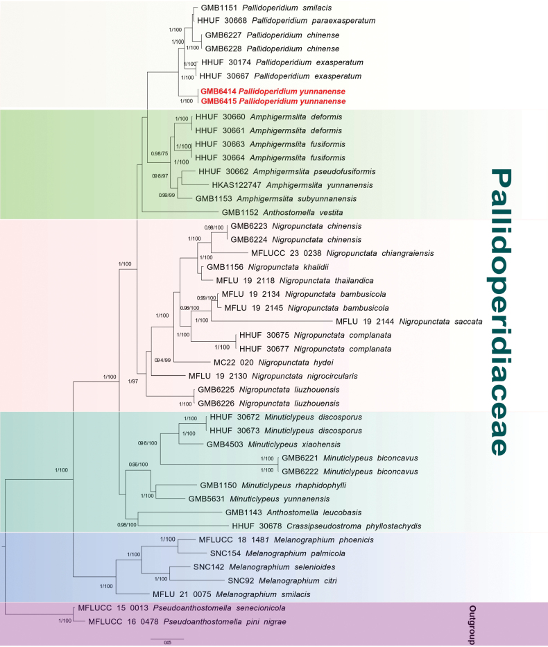 Figure 2