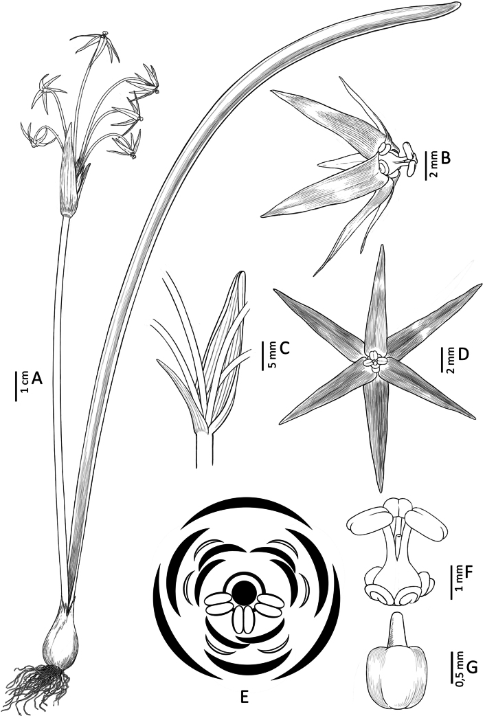 Figure 8