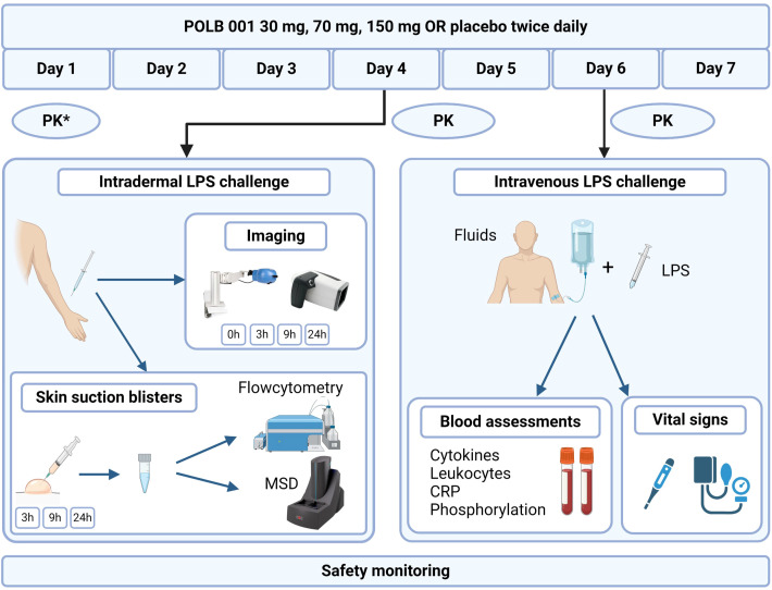 Figure 1
