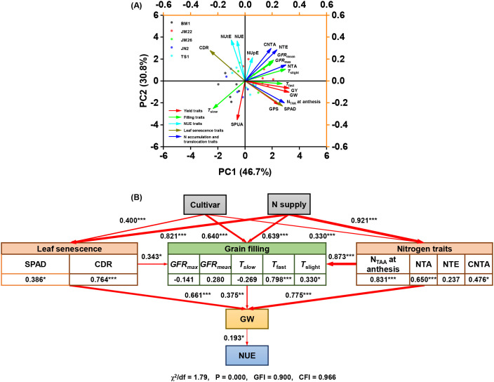 Figure 9