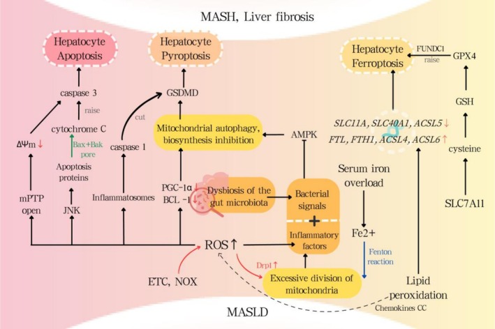 FIGURE 2