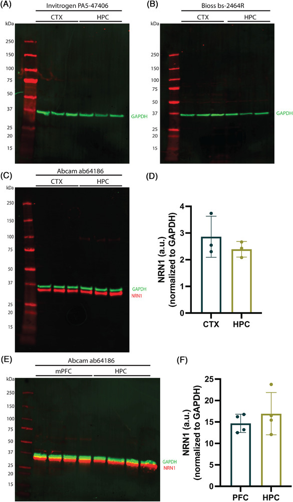 FIGURE 3