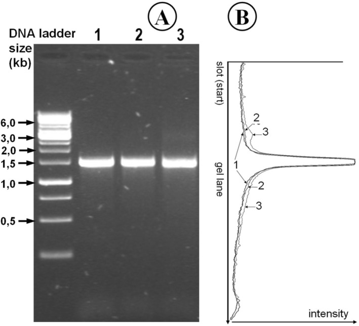 FIGURE 1