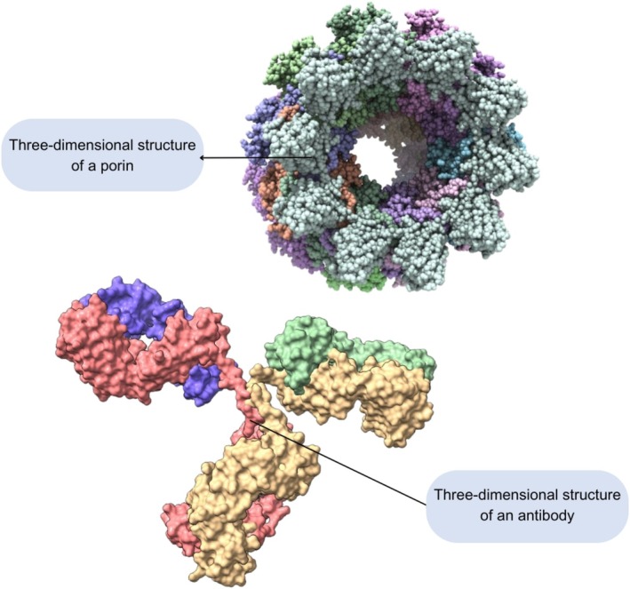 FIGURE 2
