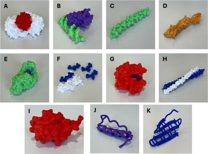 FIGURE 1