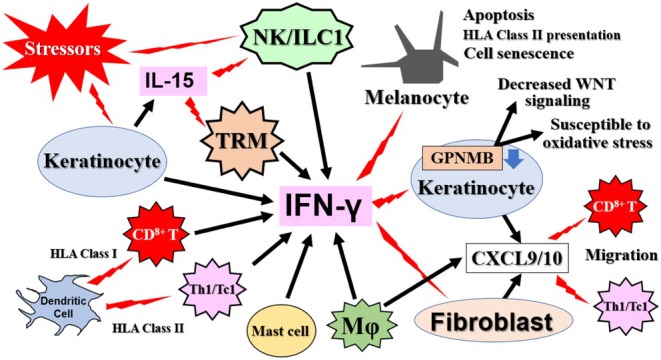 FIGURE 6
