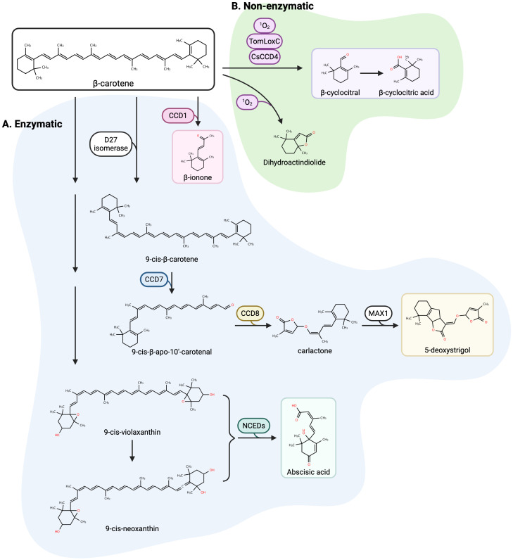 Figure 1