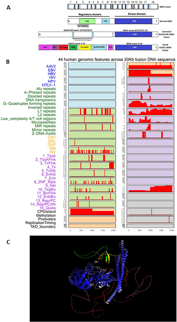 Figure 3