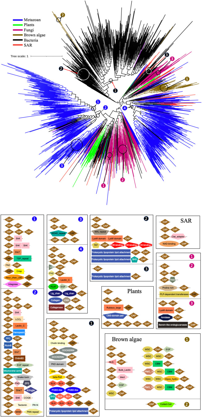 Figure 2