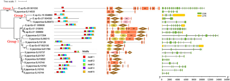 Figure 3