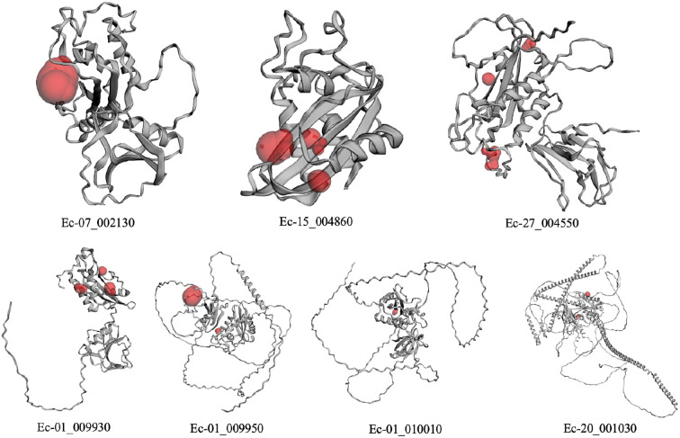 Figure 6