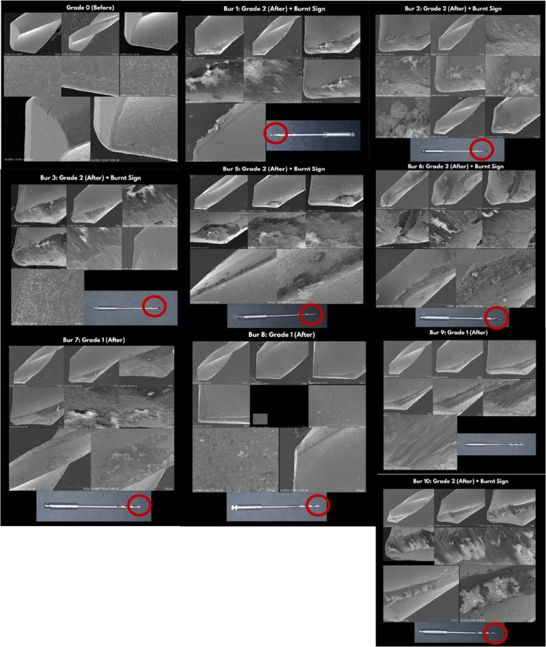 Figure 15