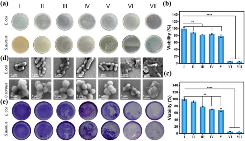 Fig. 20
