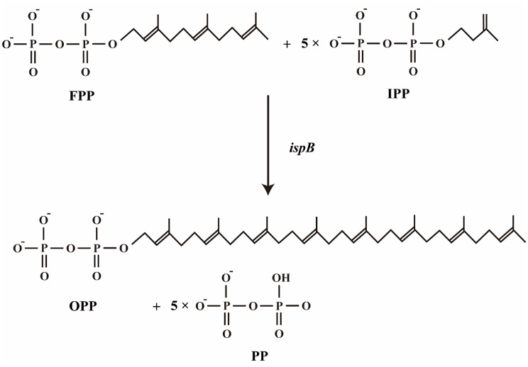 Figure 8