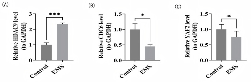 Figure 7