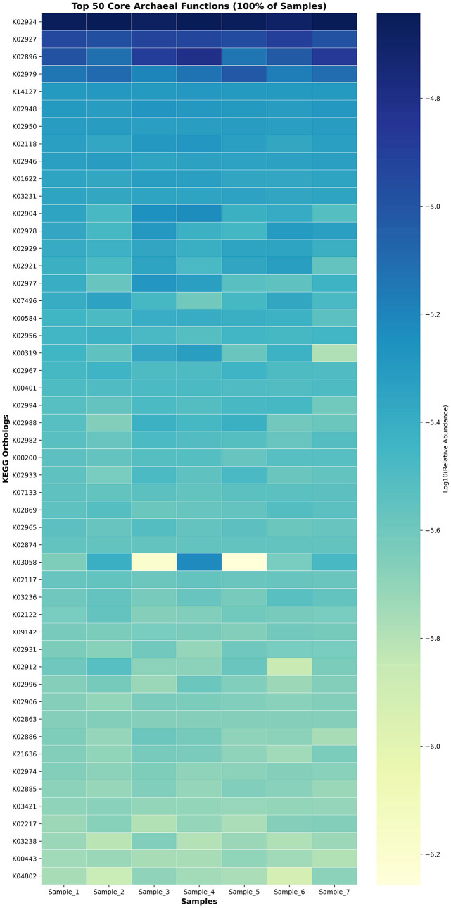 Figure 10