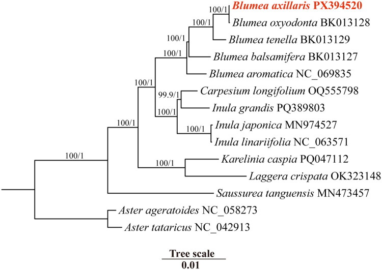 Figure 3