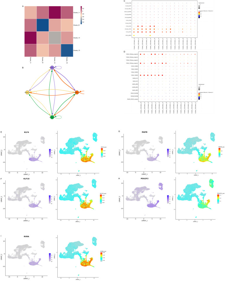 Fig 10