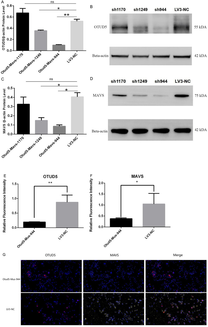 Fig 11