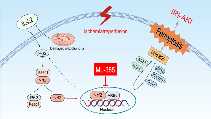 Fig 6