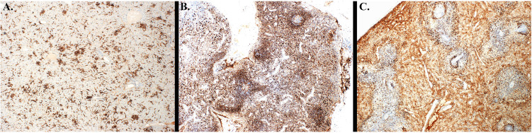 Fig 10