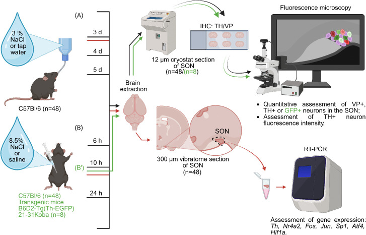Fig 1