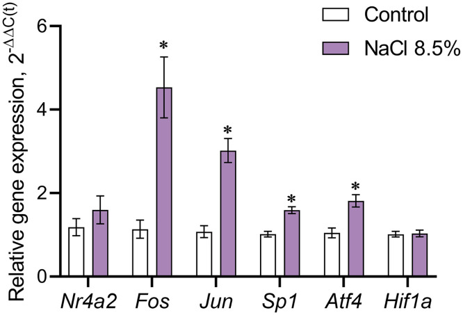 Fig 8