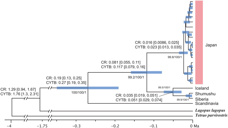 Fig 4