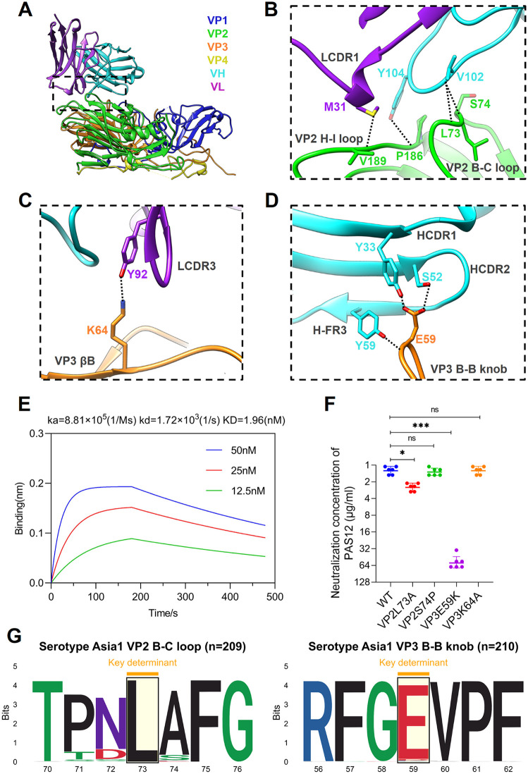 Fig 6
