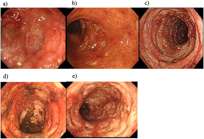 Fig 1