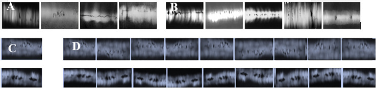 Fig 4