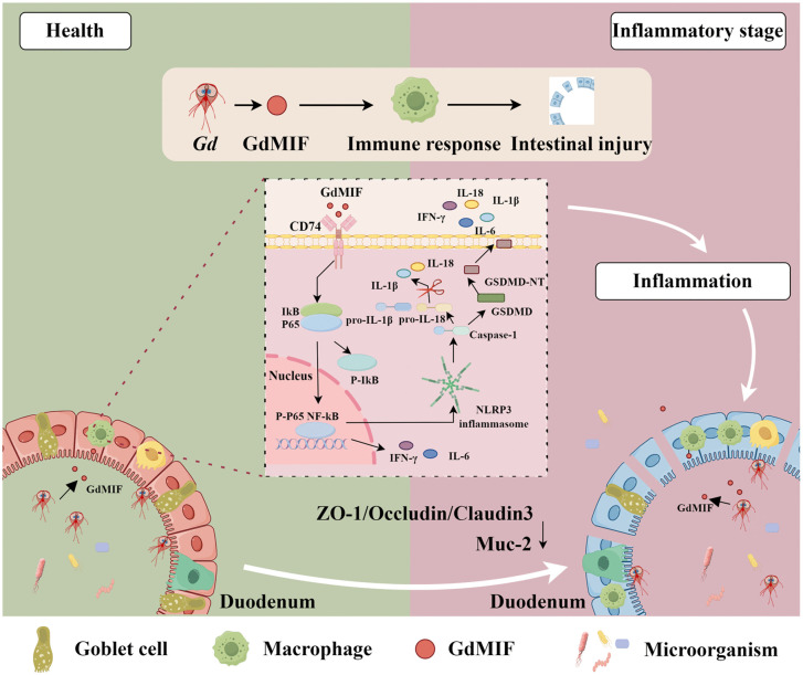 Fig 10