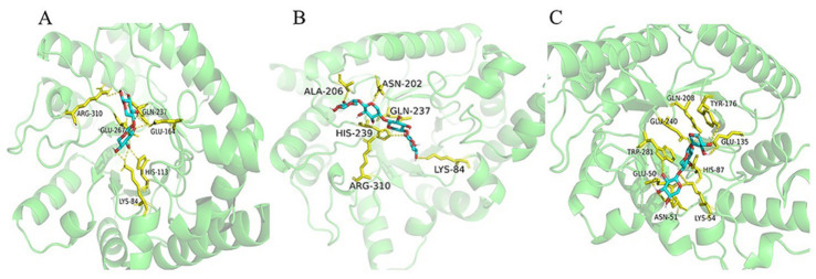 Figure 11
