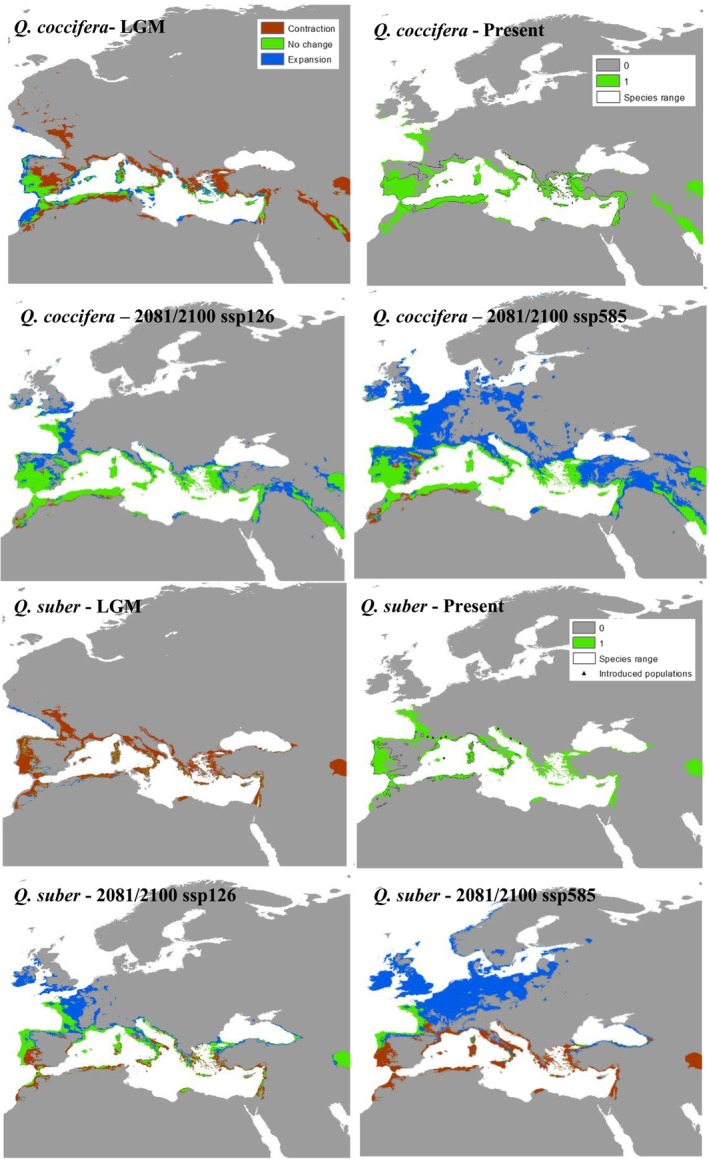 FIGURE 3