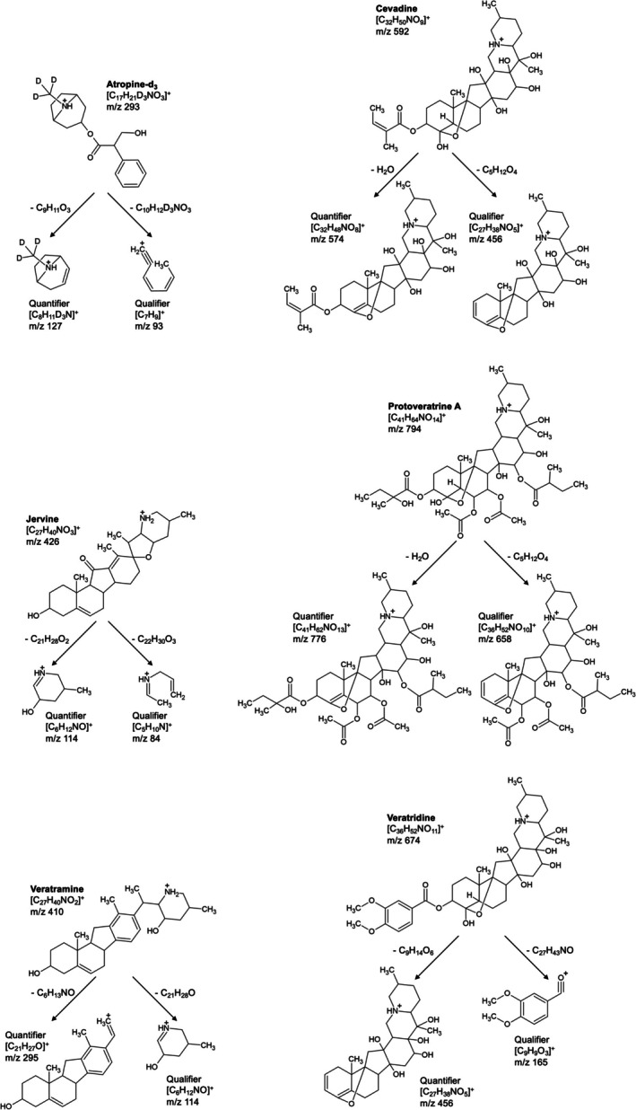 FIGURE 2