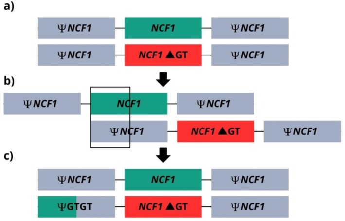 FIGURE 4