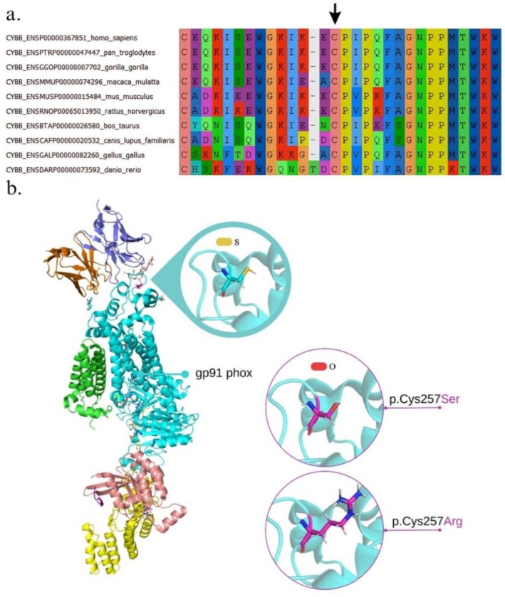 FIGURE 2
