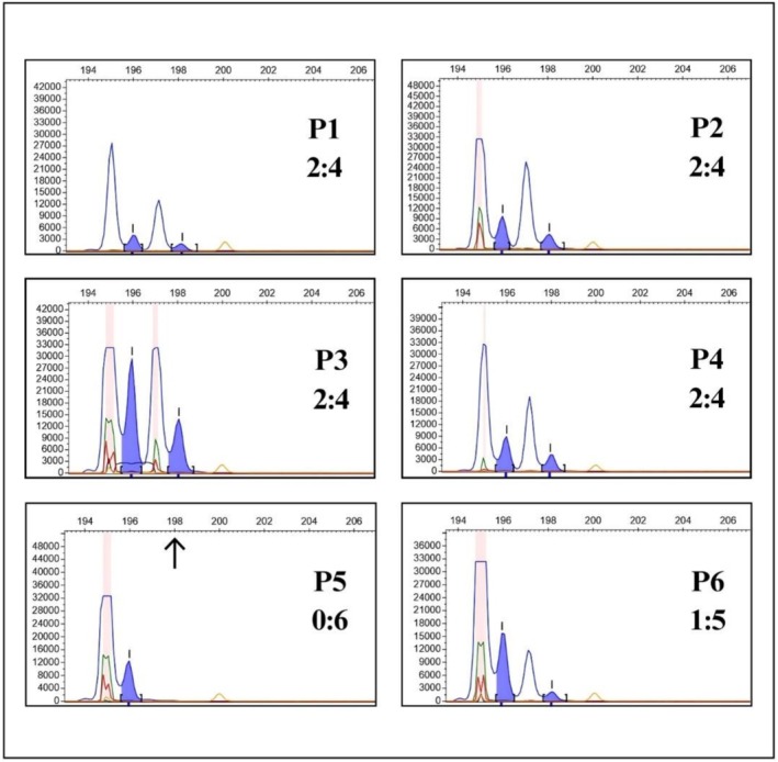 FIGURE 3