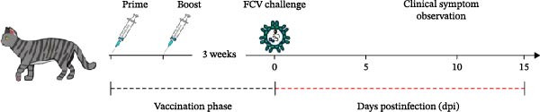 Figure 26