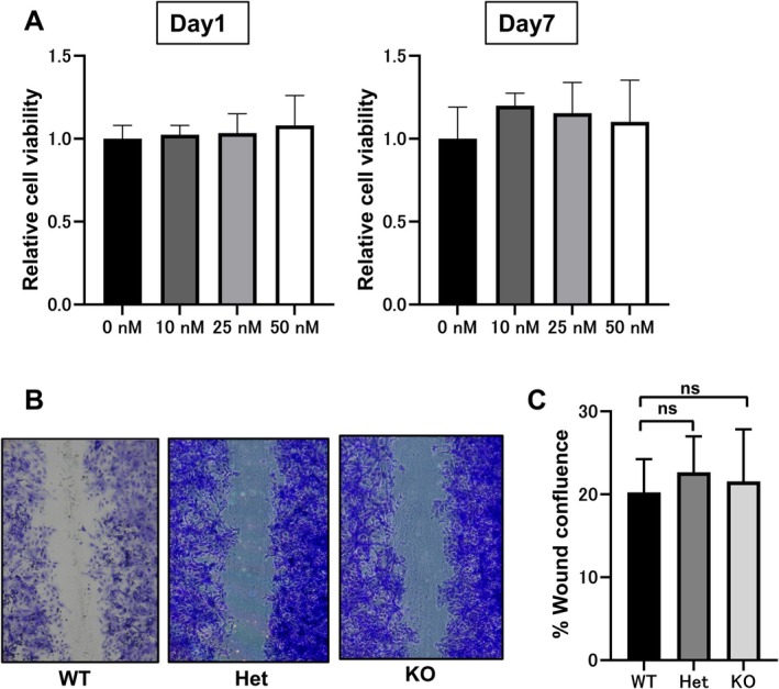 FIGURE 3