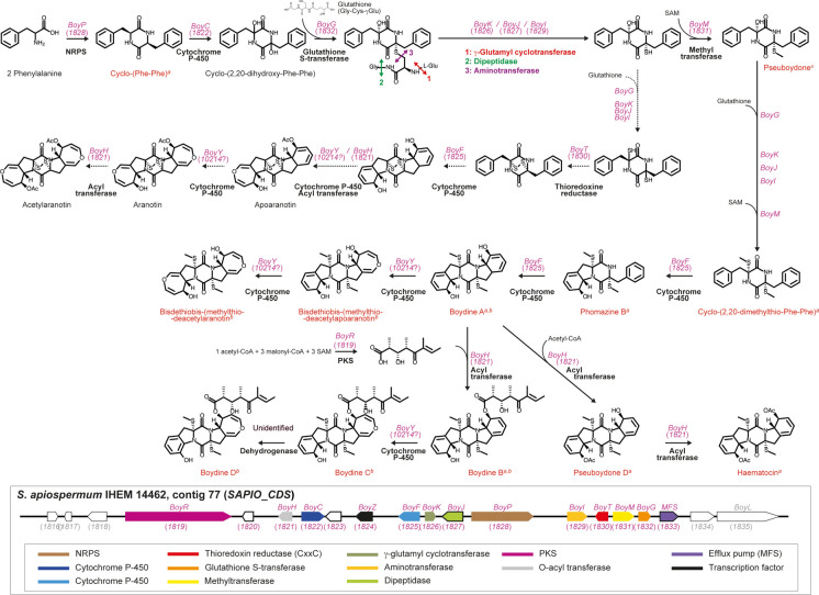 Figure 4