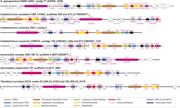 Figure 6