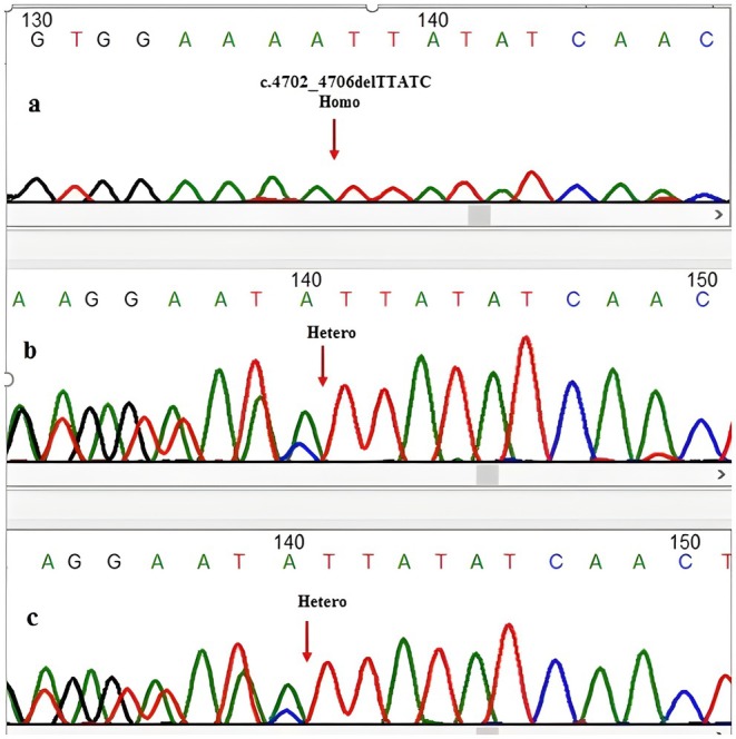 FIGURE 2