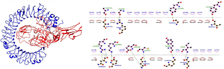 Figure 5