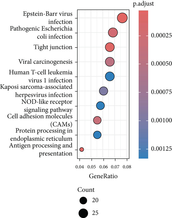 Figure 12
