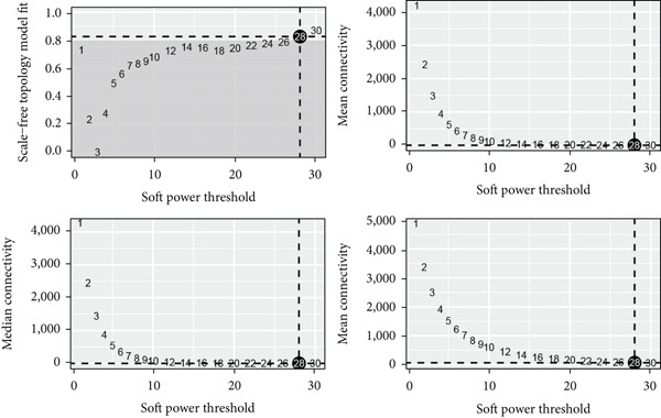 Figure 19