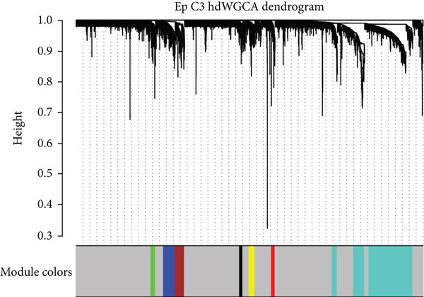 Figure 20