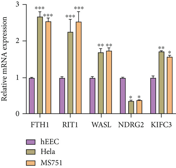 Figure 33