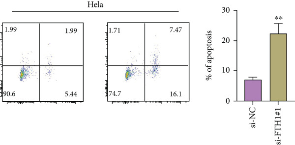 Figure 35