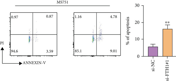 Figure 39